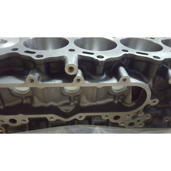 Bajo motor toyota hdj80 