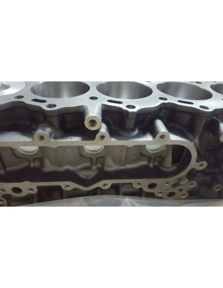 Bajo motor toyota hdj80 