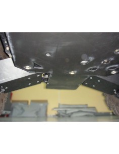 PROTECCION TRIANGULOS TRASEROS RZR800S POLARIS 2