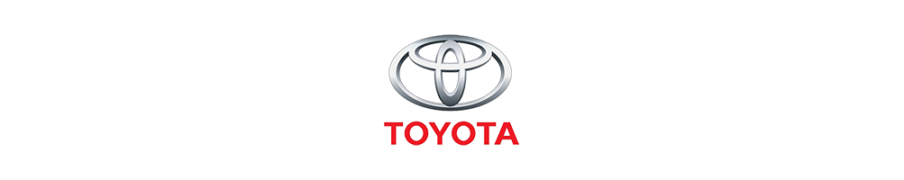 Shock absorbers for Toyota at the best price | Dream-Fontanilles